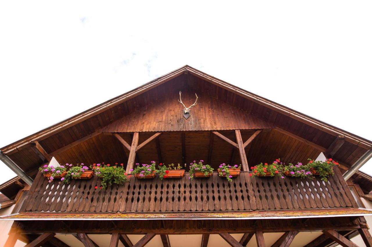 Pensiunea Sachsenhof Bagaciu Esterno foto