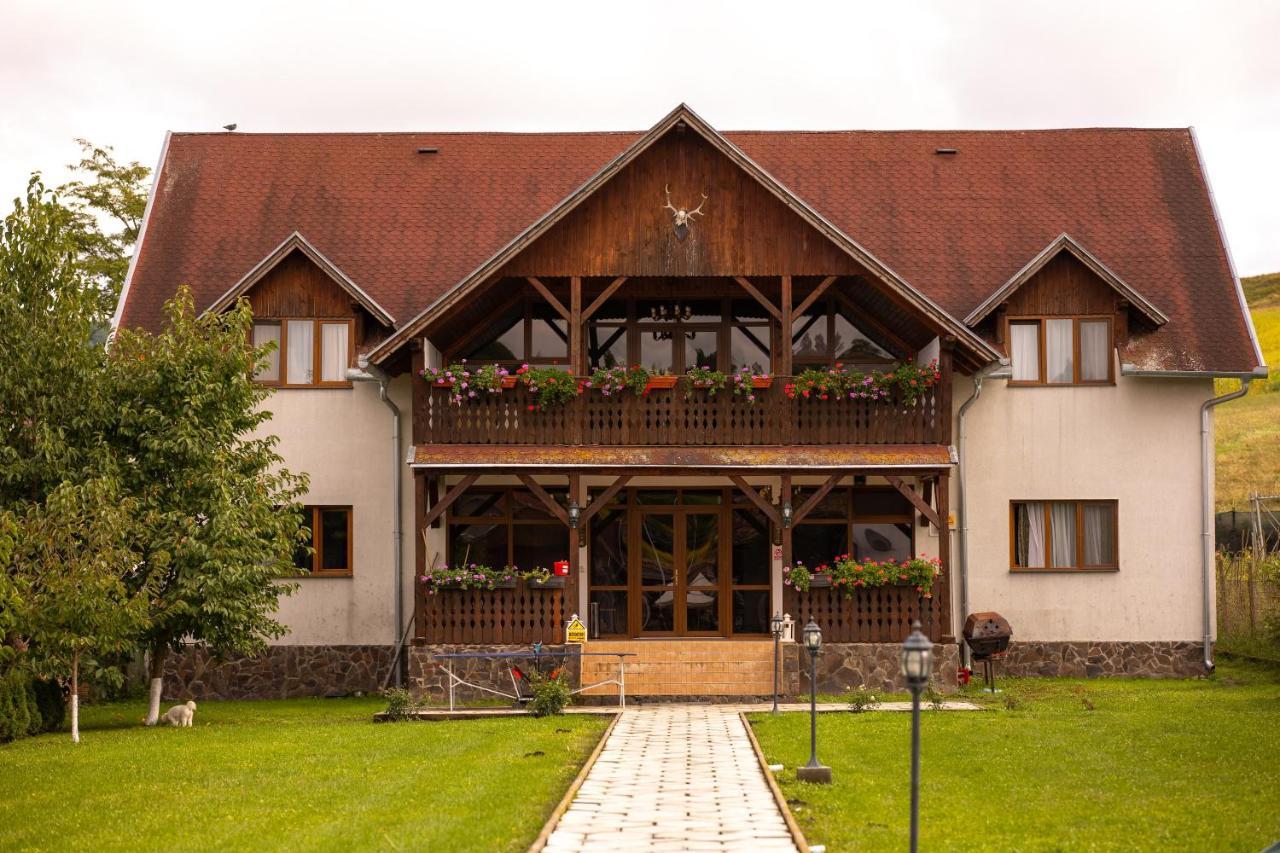 Pensiunea Sachsenhof Bagaciu Esterno foto